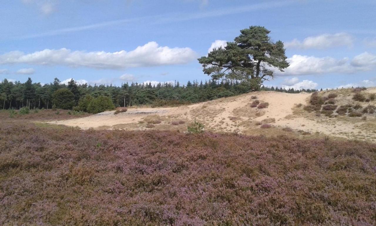 Luxe Natuurhuisje Met Jacuzzi En Haard In Drenthe, Echten Exterior photo