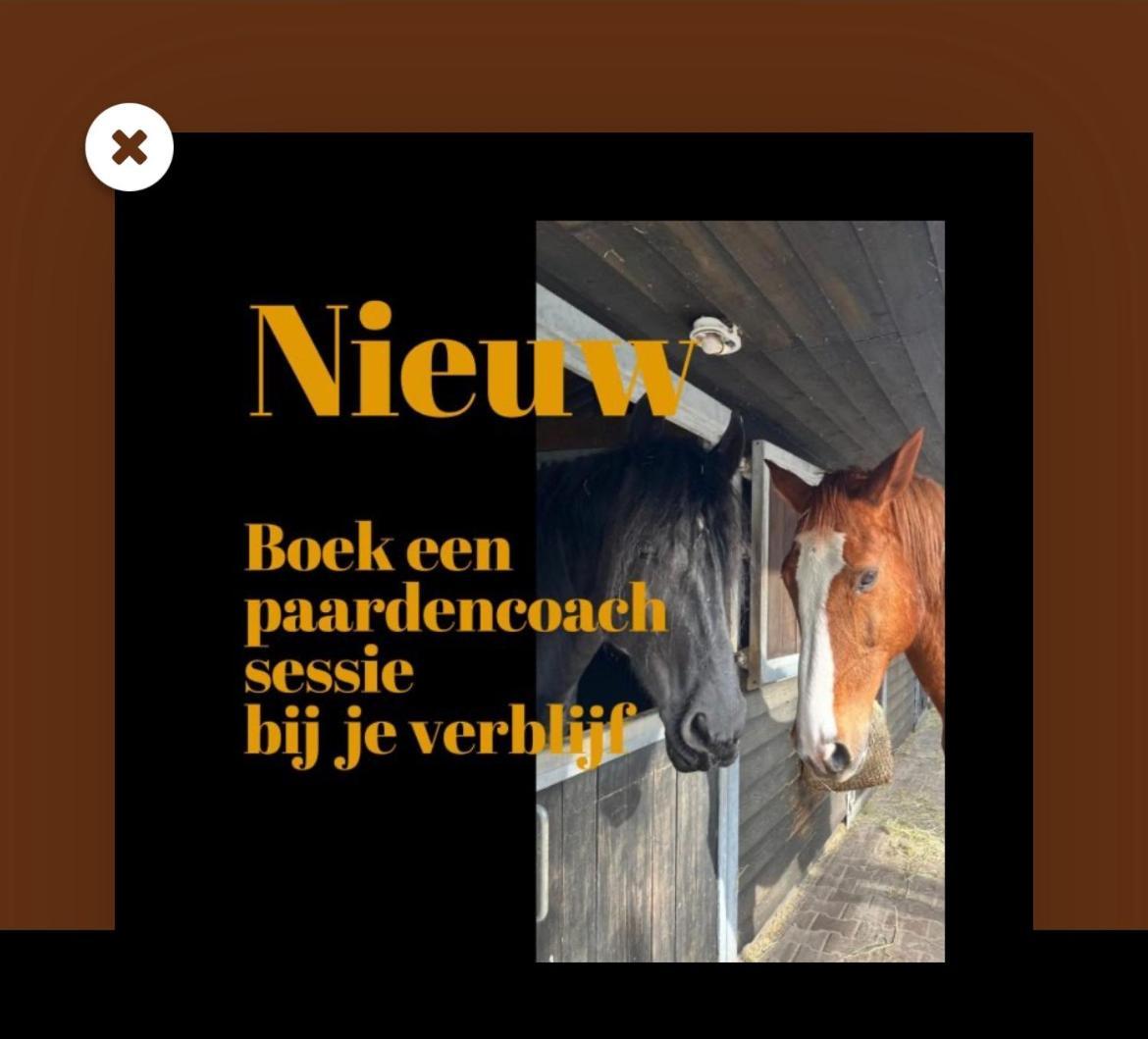 Luxe Natuurhuisje Met Jacuzzi En Haard In Drenthe, Echten Echten  Exterior photo